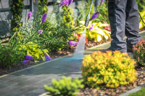 Best Sidewalk and Walkway Cleaning  in Pepperdine University, CA